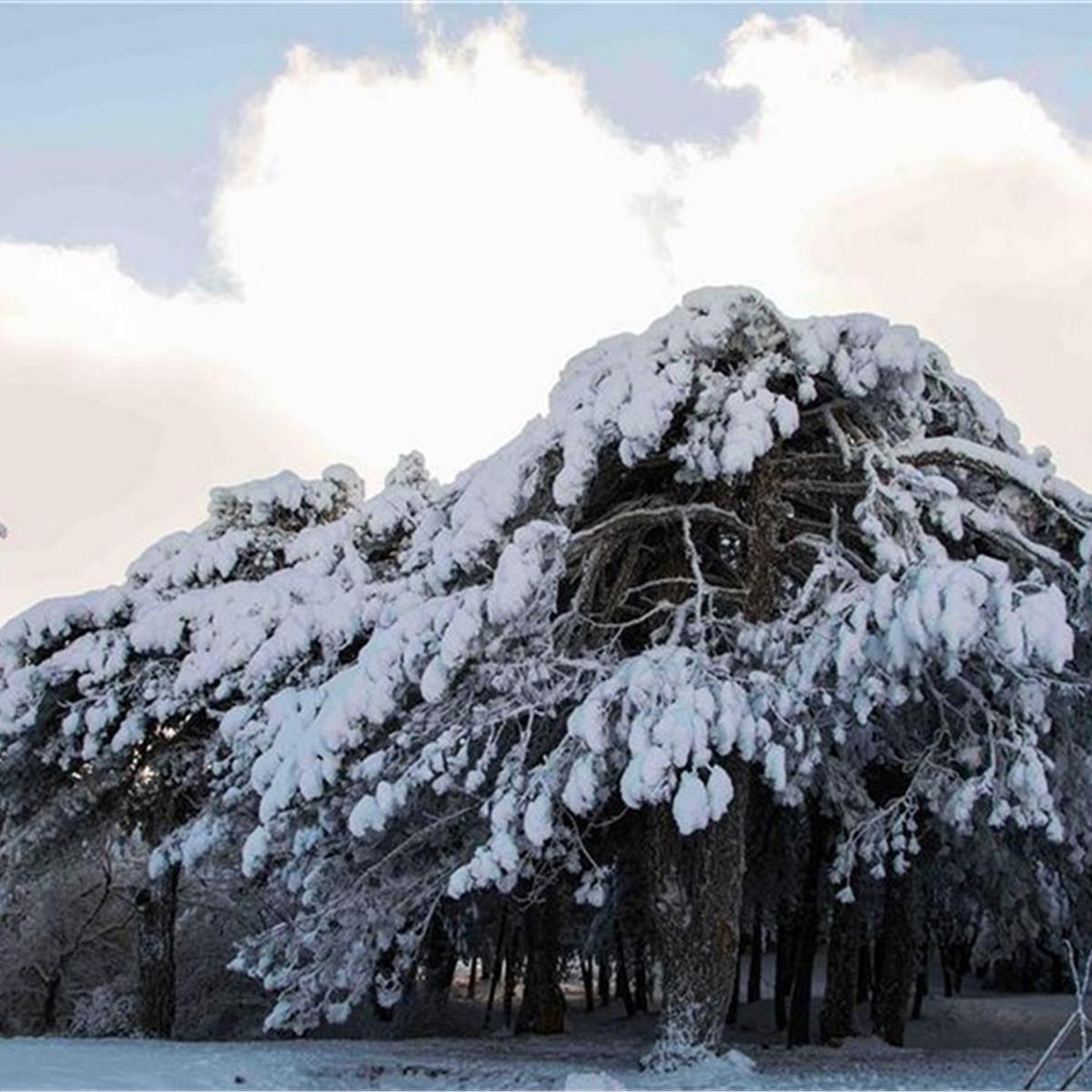İzmir Çıkışlı Günübirlik Manisa Spil Dağı Turu
