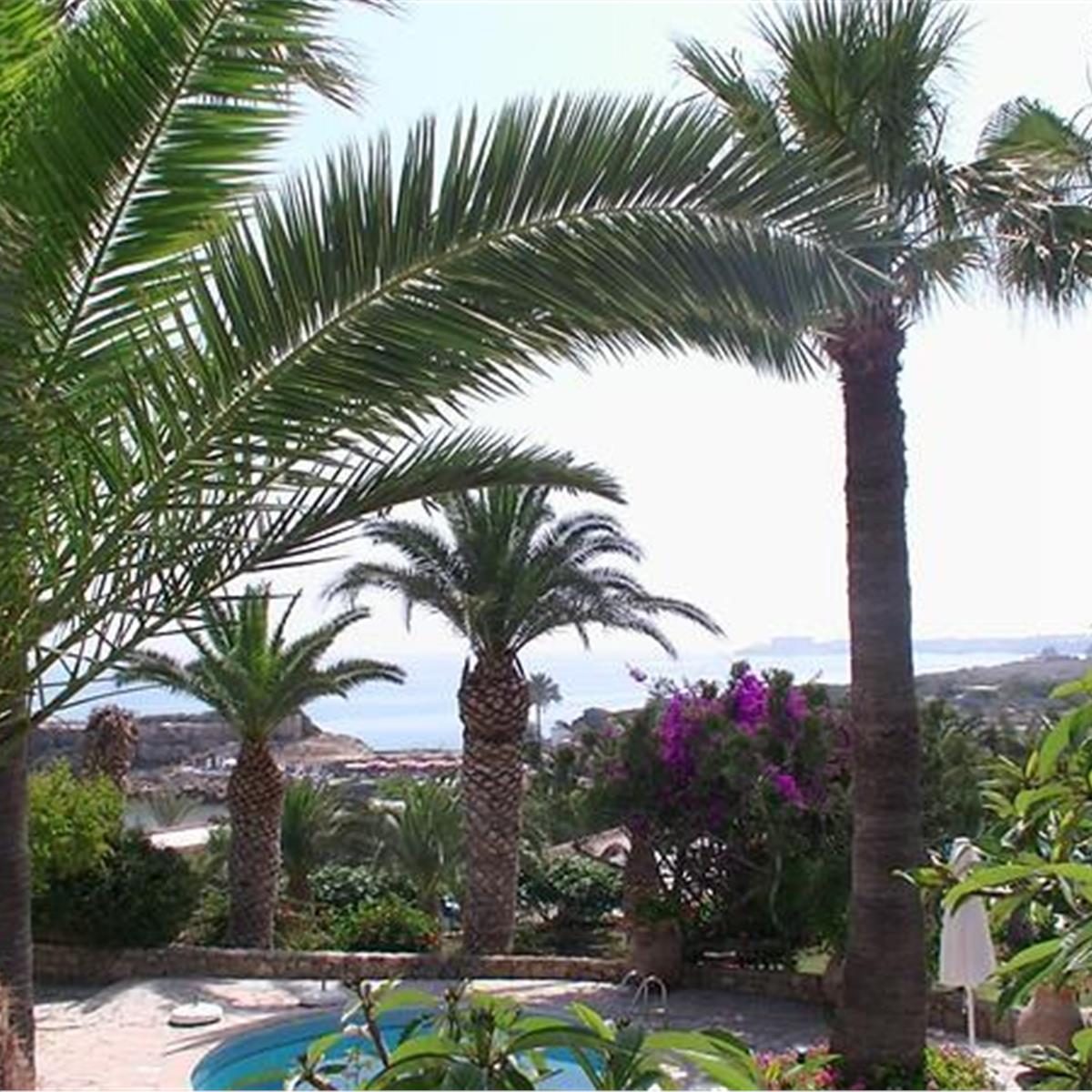 İzmir'den Uçak İle Hareketli Kıbrıs Deniz Kızı Hotel Yarım Pansiyon Konaklama Seçenekleri