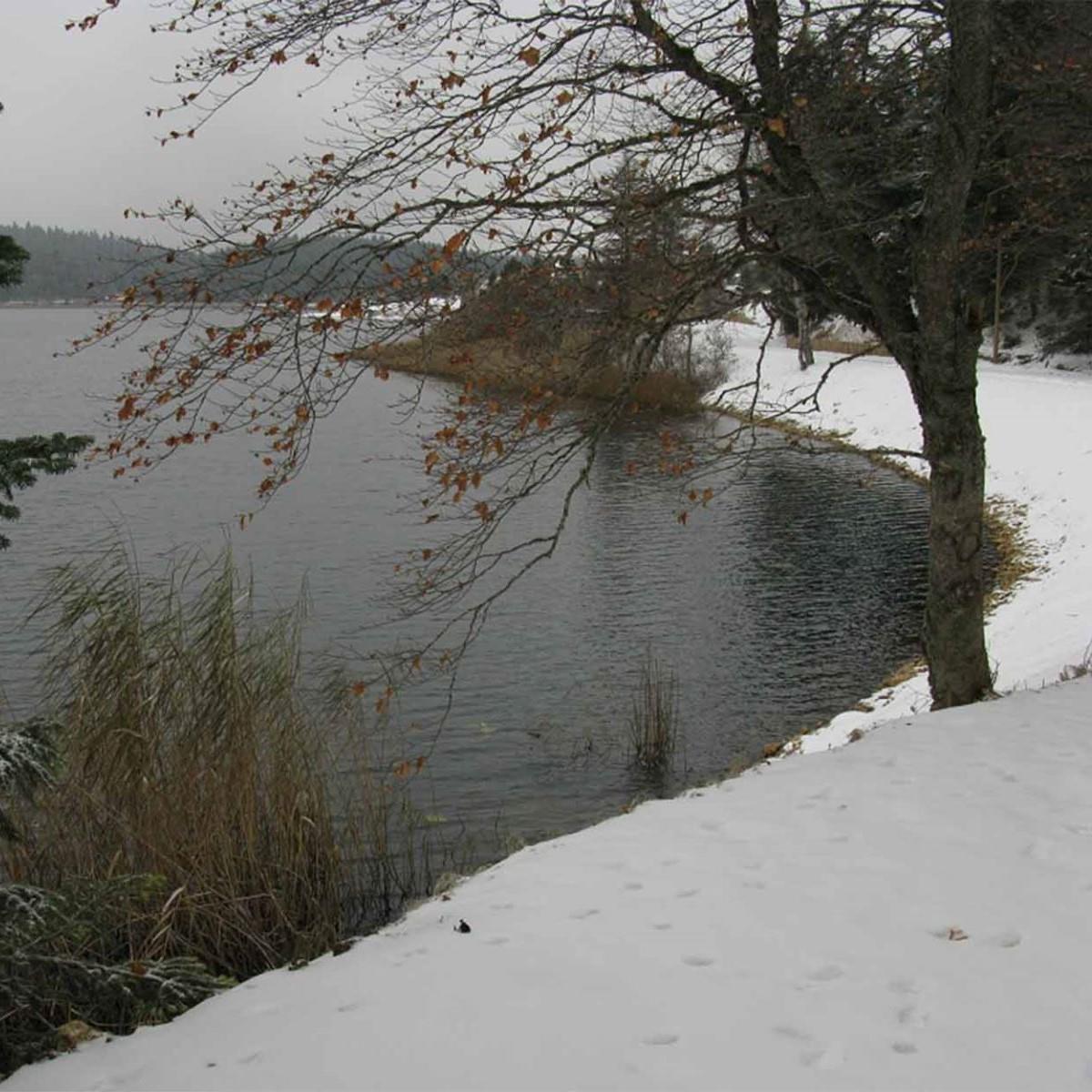 İzmir'den Otobüslü 1 gece 2 gün Konaklamalı Şile, Ağva İle Abant, Gölcük, Gölyazı Turu