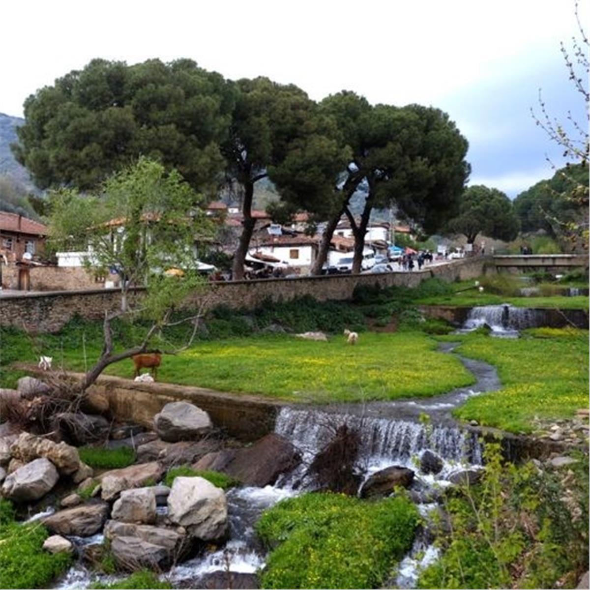 İzmir Çıkışlı Günübirlik Çakırağa Konağı, Ulu Camii ve Dede Türbesi İle Beydağ Ödemiş Birgi Turu