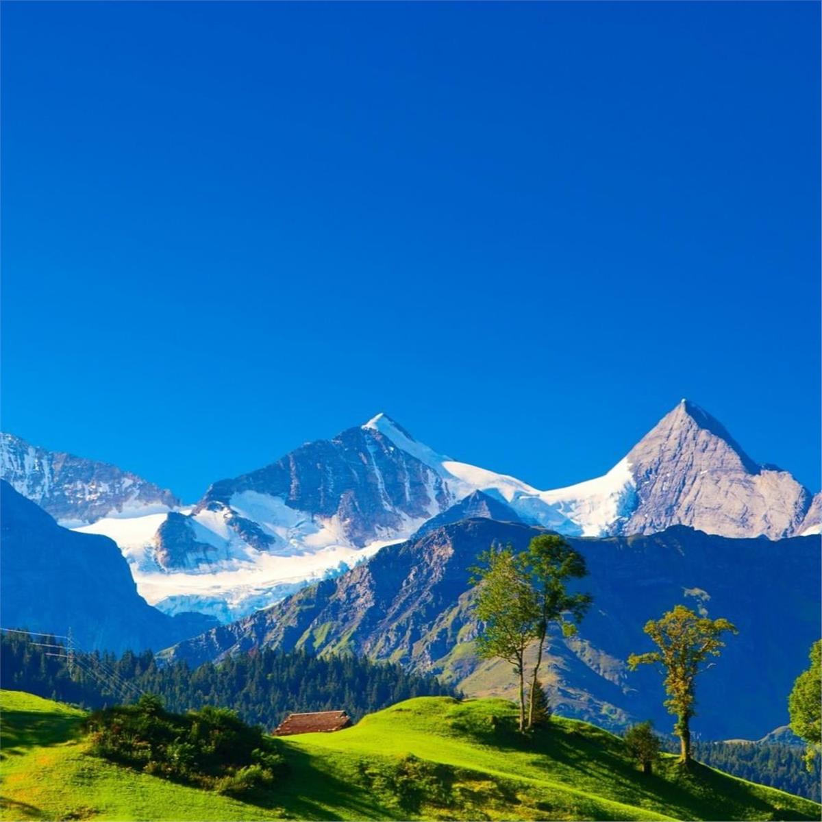 İzmir'den Uçaklı 4 Gece 5 Gün Konaklamalı Alp Dağları Zirvesi Alsace Colmar Turu