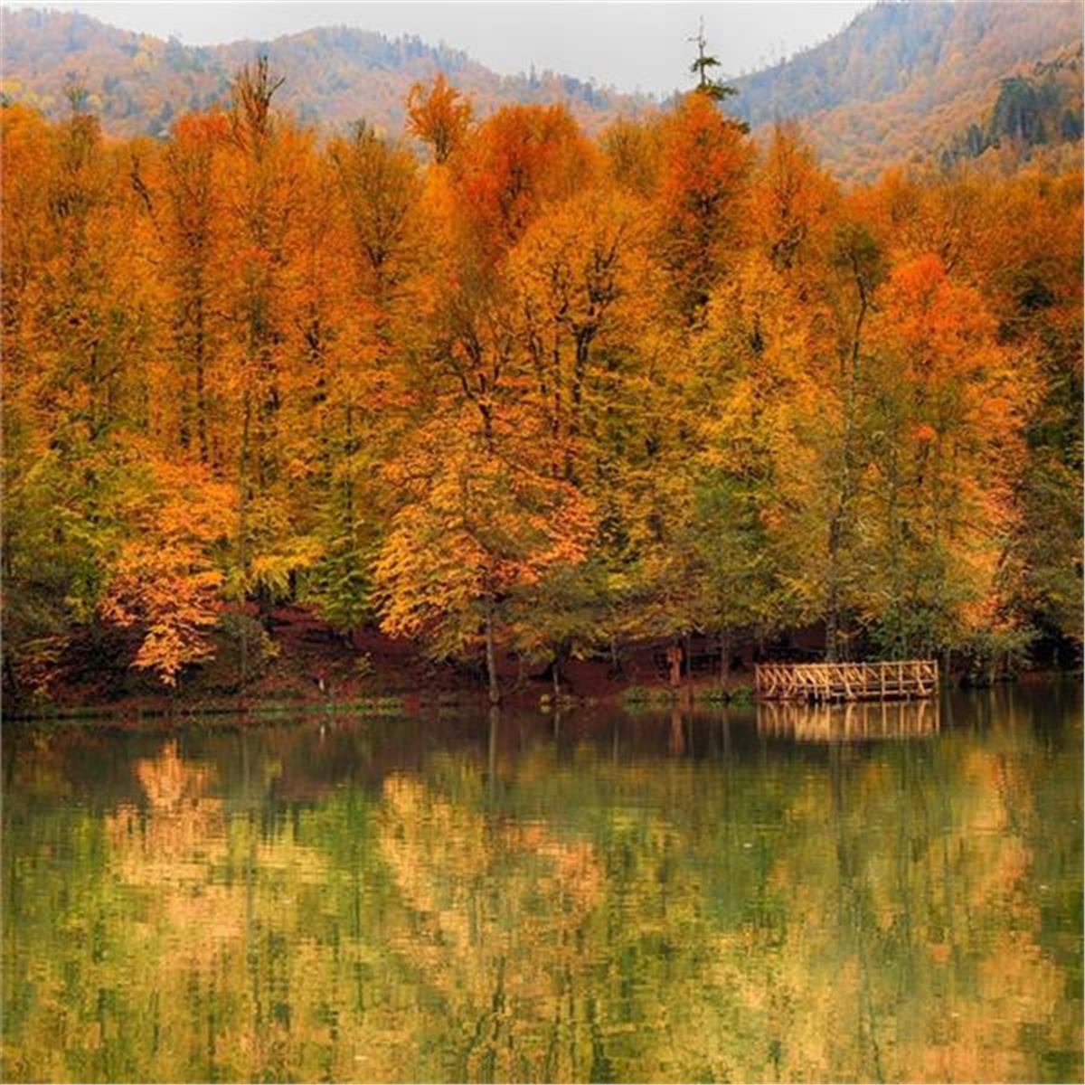 İzmir Çıkışlı 2 gece 3 gün Konaklamalı Şile, Ağva, Ormanya, Maşukiye, Abant, Sapanca Gölü, Yedigöller, Amasra ve Safranbolu ile Batı Karadeniz Turu