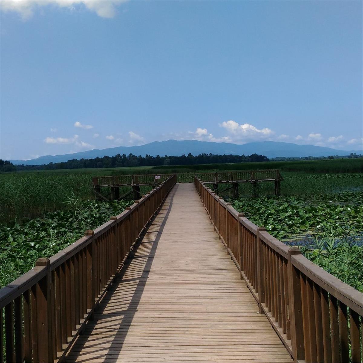 İzmir'den Otobüslü 1 Gece 2 Gün Konaklamalı Düzce Şelaleleri & Efteni Gölü & Akçakoca & Maşukiye Turu