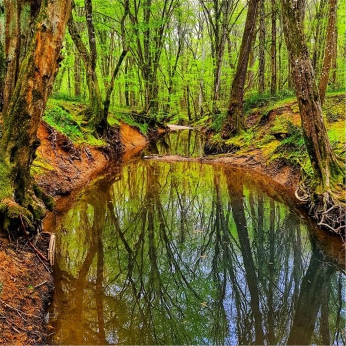 İzmir Çıkışlı 2 gece 3 gün Konaklamalı Trakya Edirne İğneada ile Longoz Ormanları Turu. 