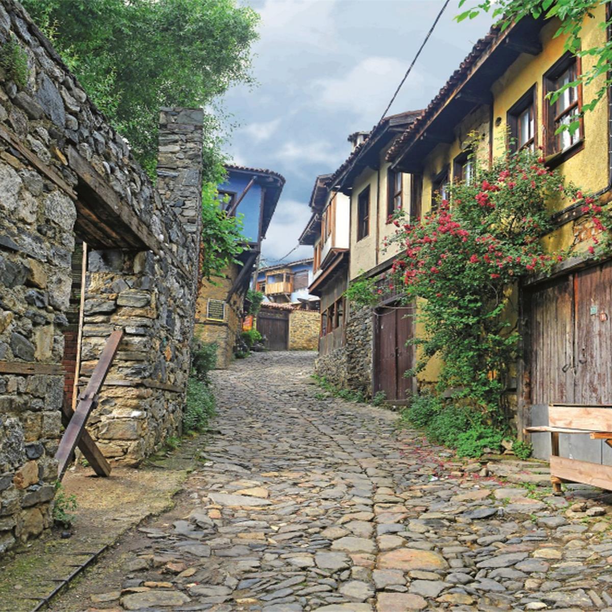 İzmir Çıkışlı 1 gece 2 gün Bursa, Mudanya, Trilye, Gölyazı, Cumalıkızık Turu