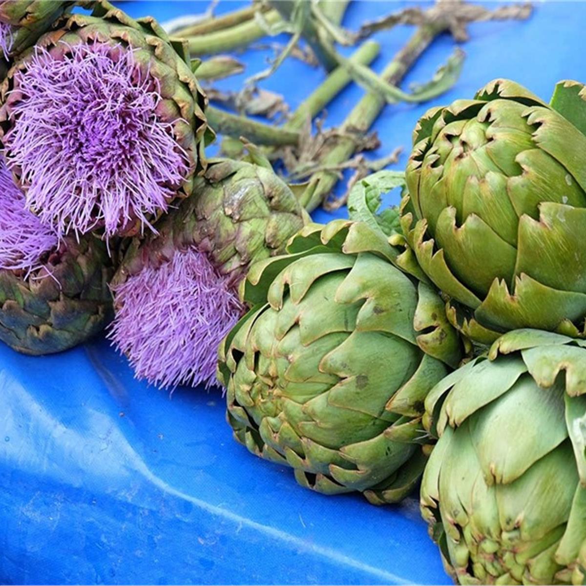 İzmir Çıkışlı Günübirlik Alaçatı Ot Festivali Turu