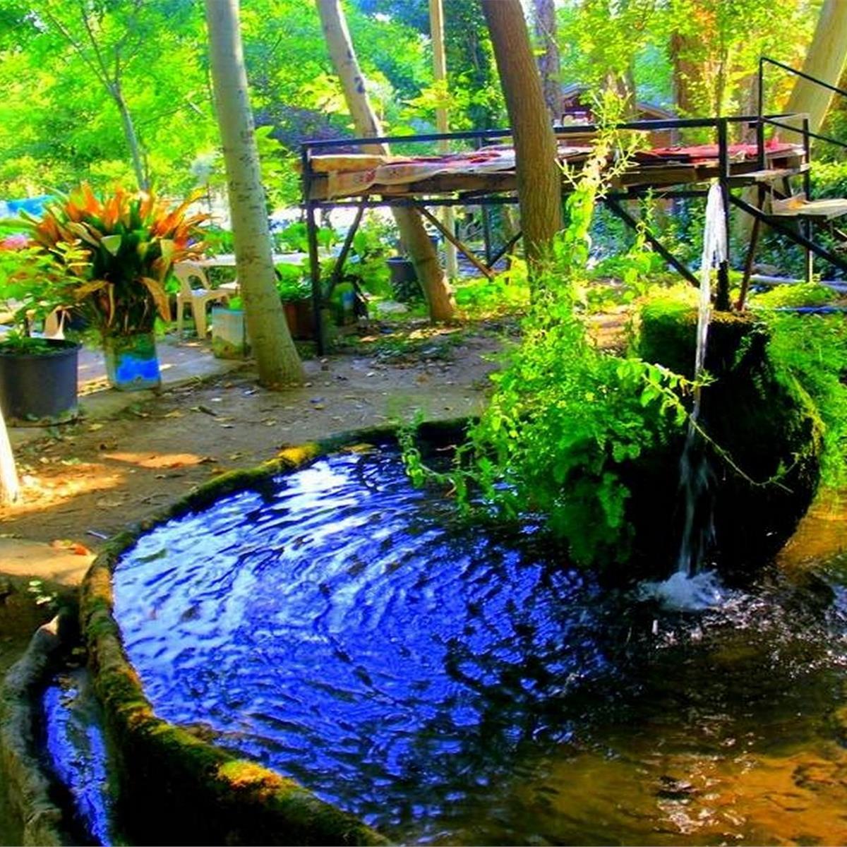 İzmir Kalkışlı 25 Eylül Cumartesi Günübirlik Tire İncir, Ceviz Festivali Turu