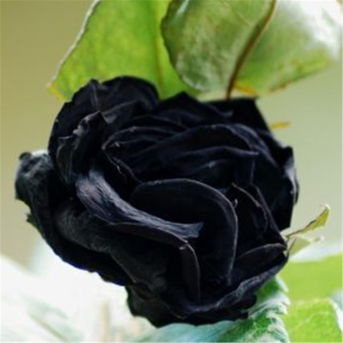 İzmir'den Hareketli Bayram Özel 6 Gece 7 Gün Konaklamalı Tarih Dolu Doğu Turu