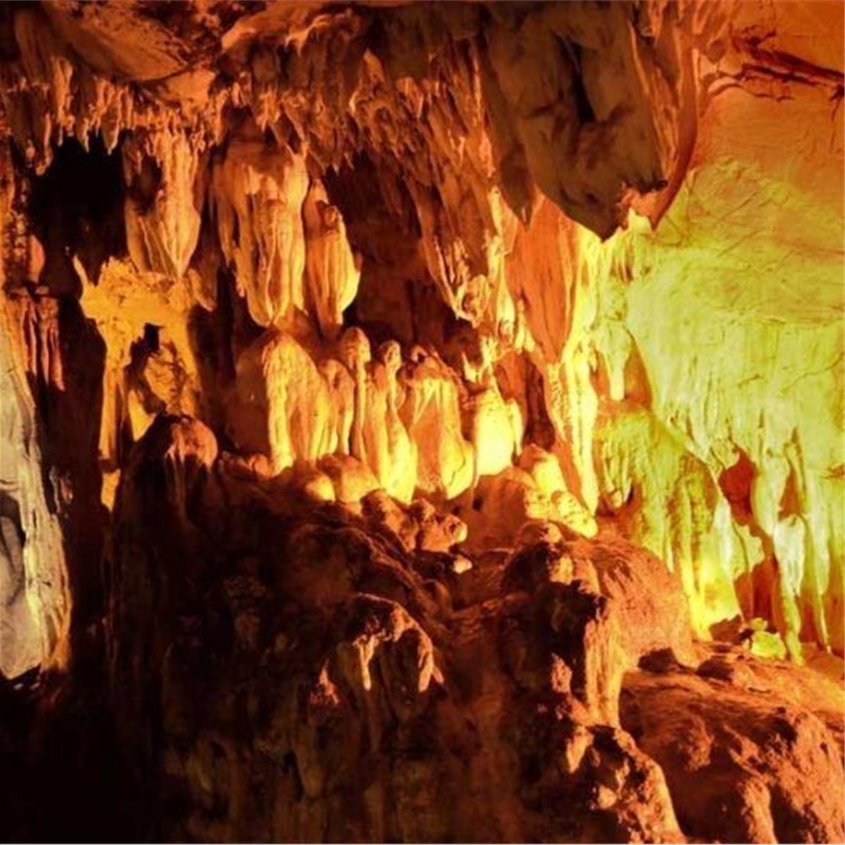 İzmir Kalkışlı 2 gece 3 gün Trakya, Edirne, İğneada, Longoz Ormanları ve Lüleburgaz Turu