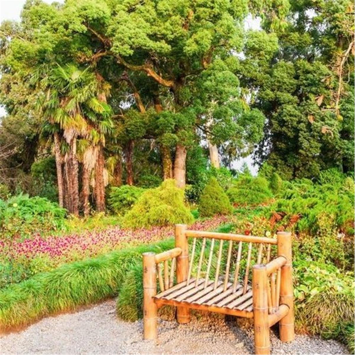 İzmir'den Uçaklı 3 Gece 4 Gün Konaklamalı Tiflis Ve Batum Turu