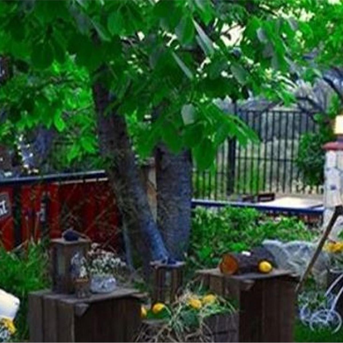 Çiçekliköy My Garden Butik Otel Bungalow Evde Çift Kişi Kahvaltı Dahil Konaklama