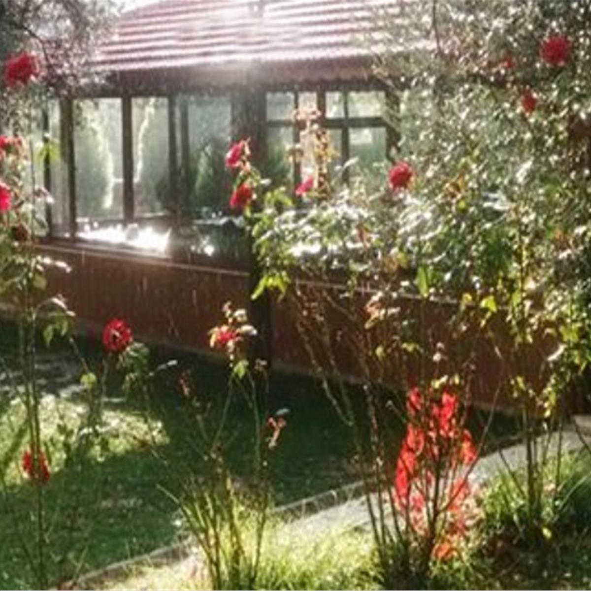 Çiçekliköy Nirvana Restaurant Sahanda Yumurta İle Serpme Köy Kahvaltısı