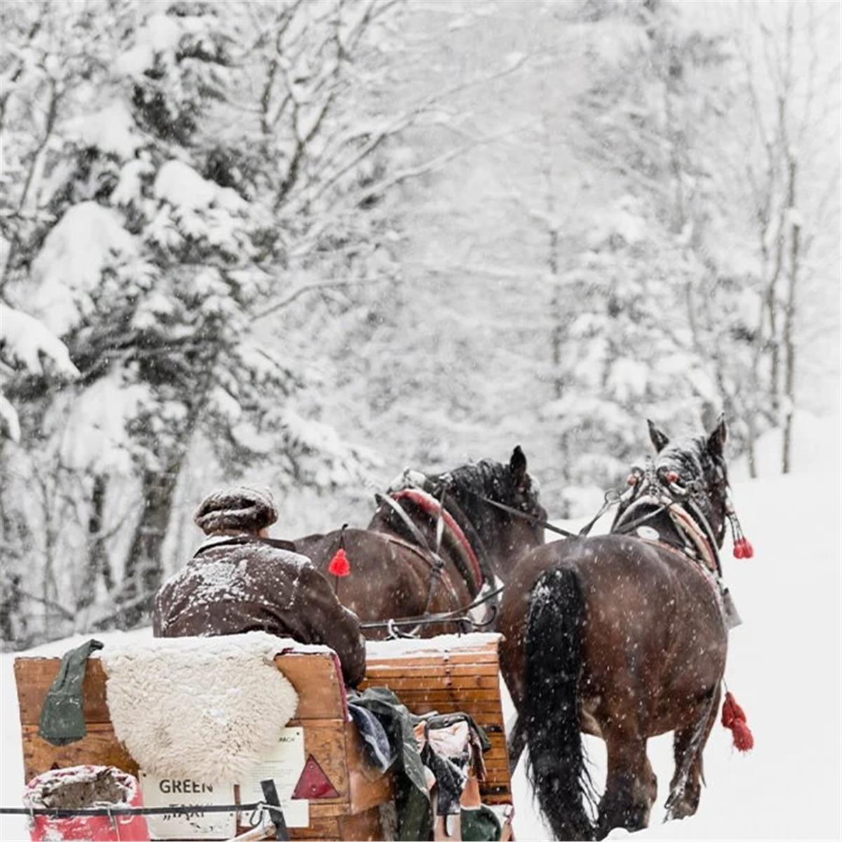 Sevgililer Günü Özel İzmir'den Uçak İle Turistik Doğu Ekspresi Tren Konaklamalı 3 Gece 4 Gün Doğu Ekspresi Turu