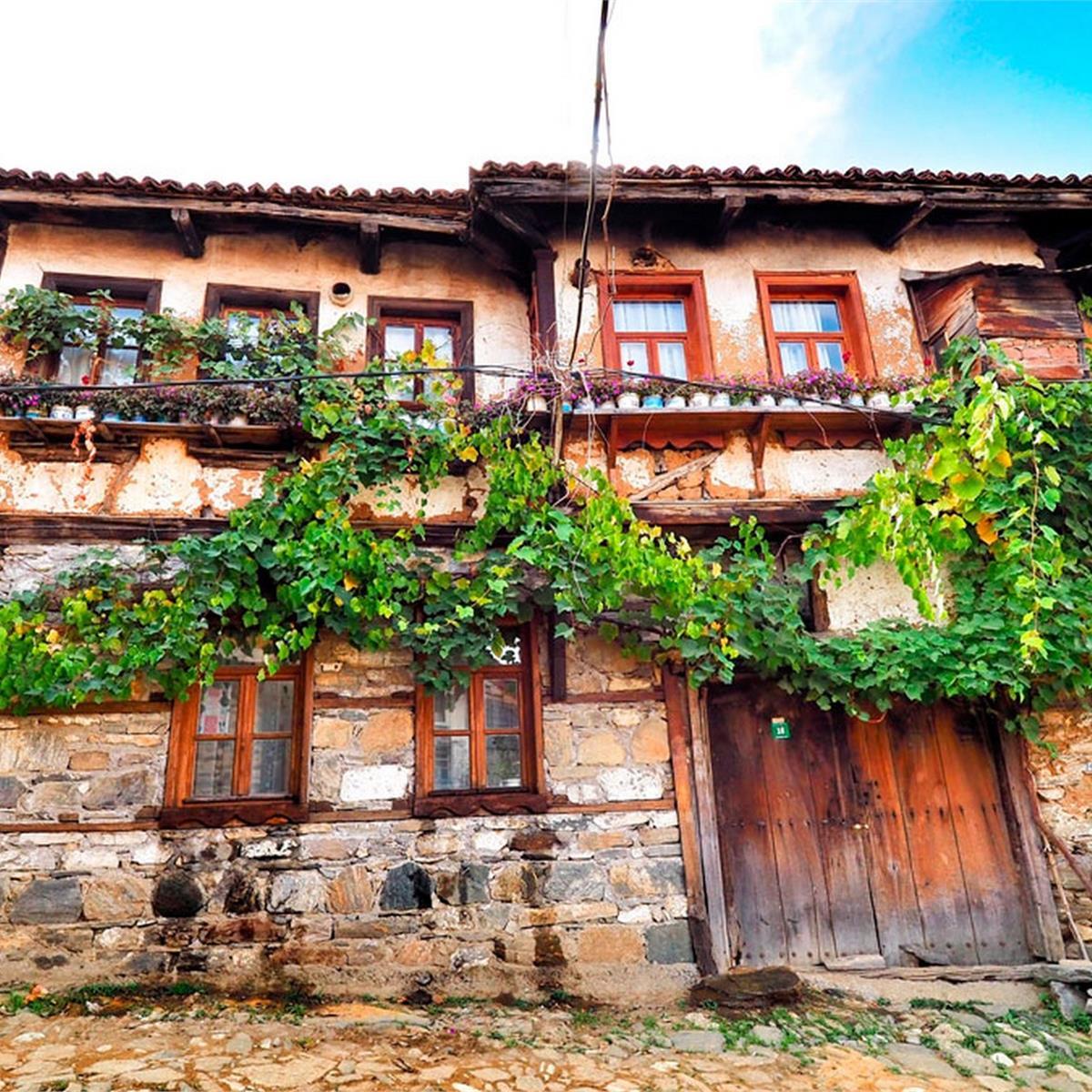 İzmir Çıkışlı 1 gece 2 gün Bursa, Mudanya, Trilye, Gölyazı, Cumalıkızık Turu