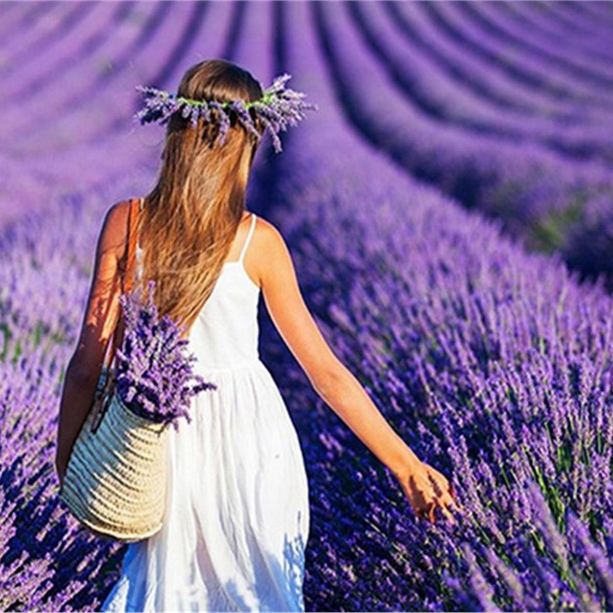 Günübirlik Lavanta Tarlaları ve Salda Gölü Turu