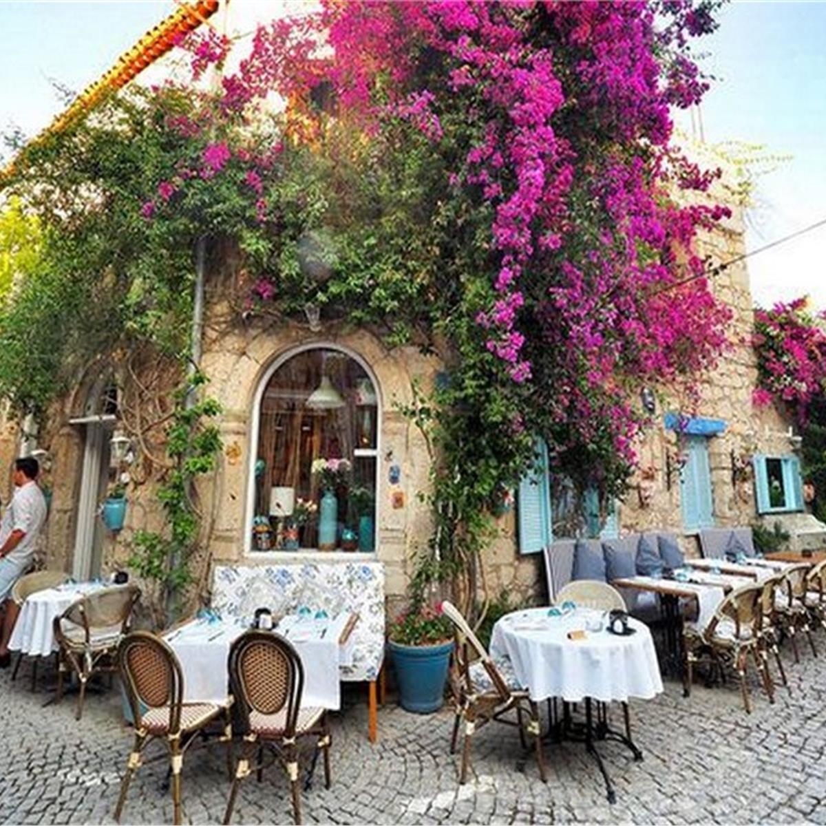 Karaburun, Mordoğan, Çeşme, Alaçatı, Ildırı, Urla (Efes-Mimas Yolu) Turu