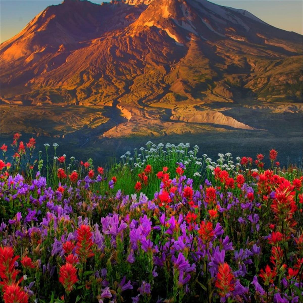 İzmir'den Uçak İle Hareketli 7 Gece 8 Gün Konaklamalı İngiltere, Galler, İrlanda ve İskoçya Turu