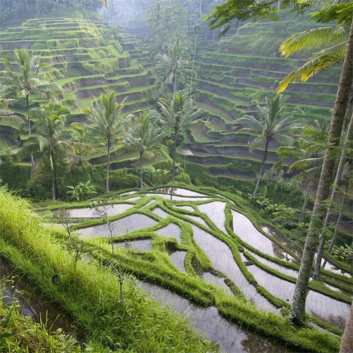 Uçaklı 7 Gece 10 Gün Konaklamalı Kuala Lumpur, Bali Ve Singapur Turu