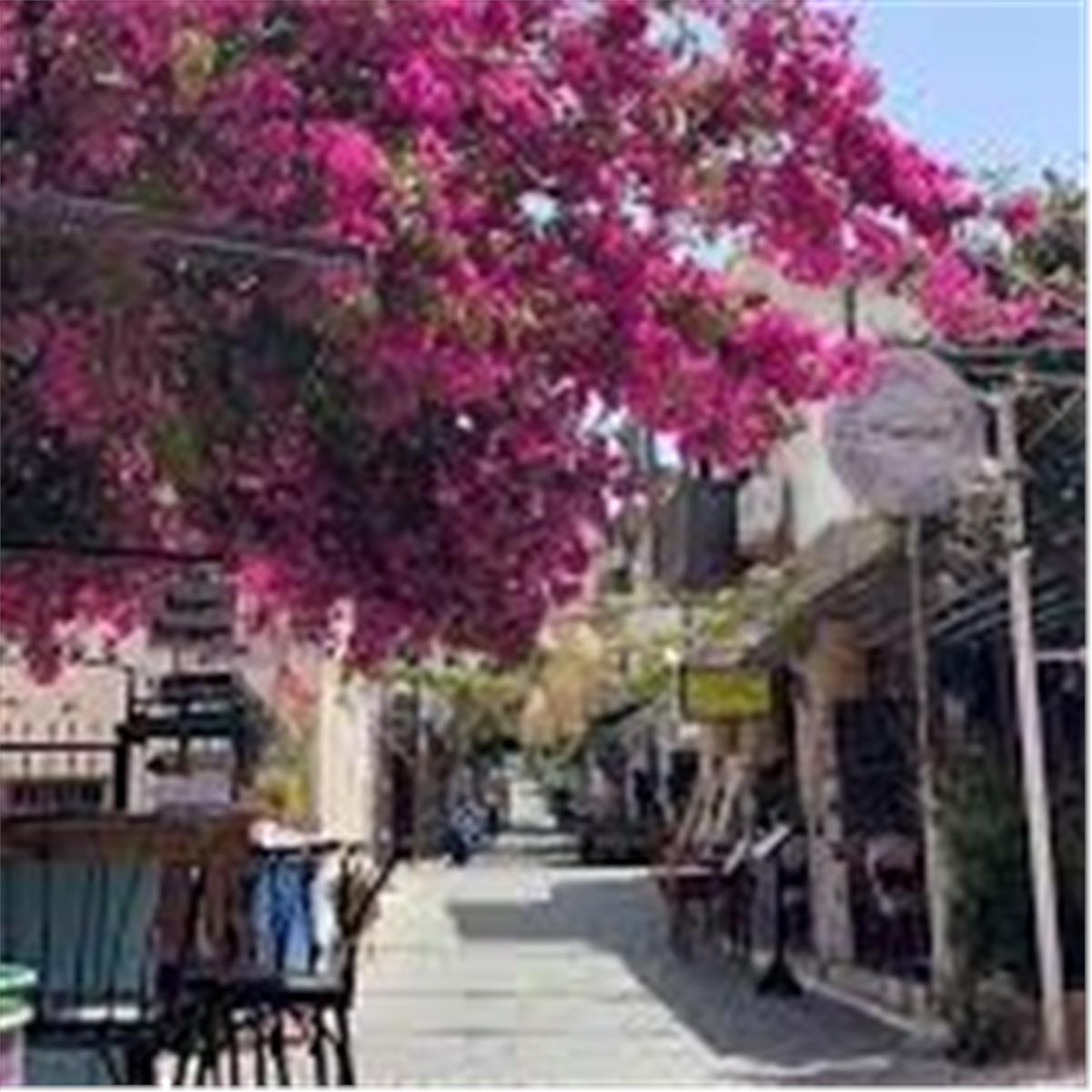İzmir'den Otobüslü 4 Gece 5 Gün Konaklamalı Exclusive Ege ve Akdeniz Turu