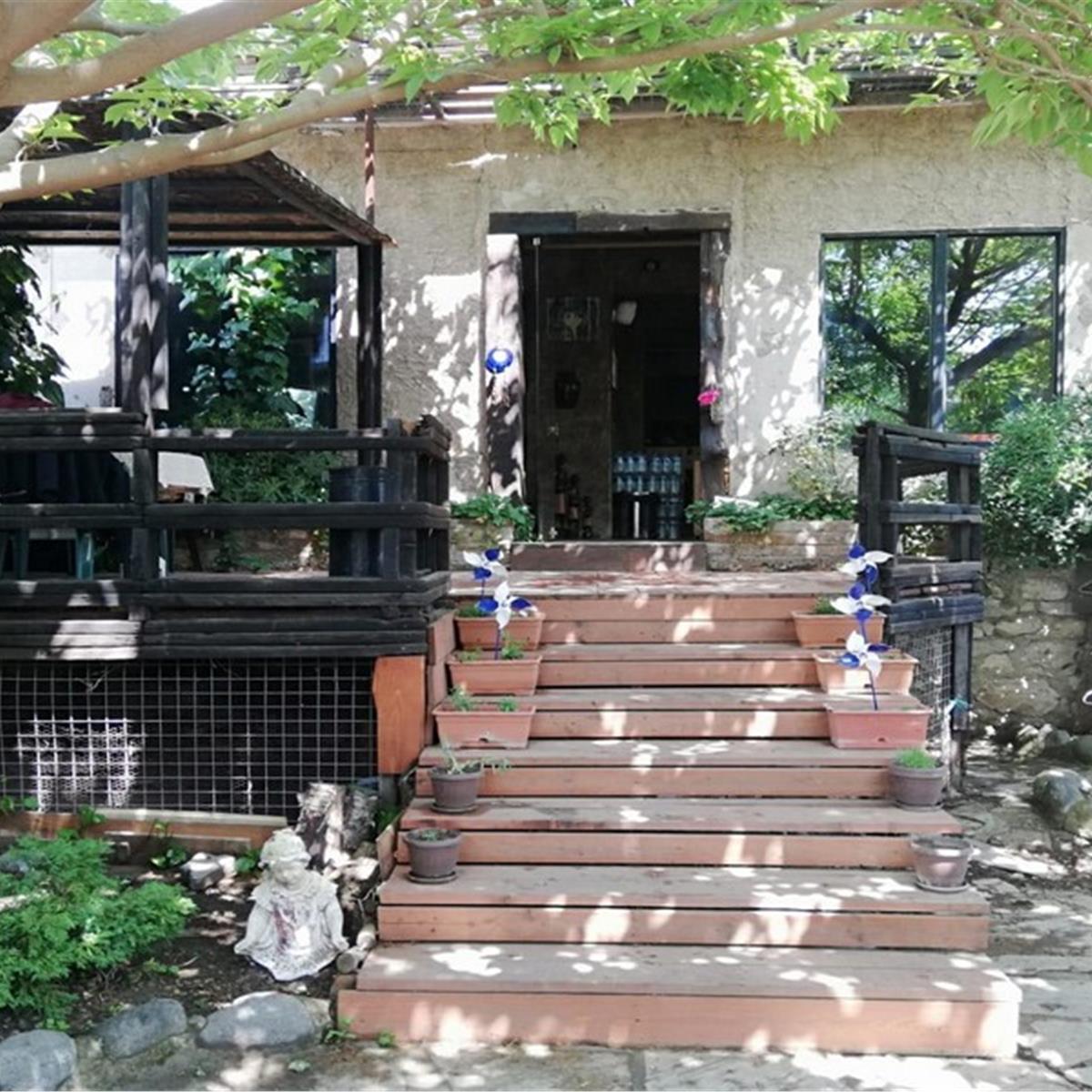 Çiçekliköy Zeytindalı Kahvaltı Evi’nde Enfes Serpme Köy Kahvaltısı