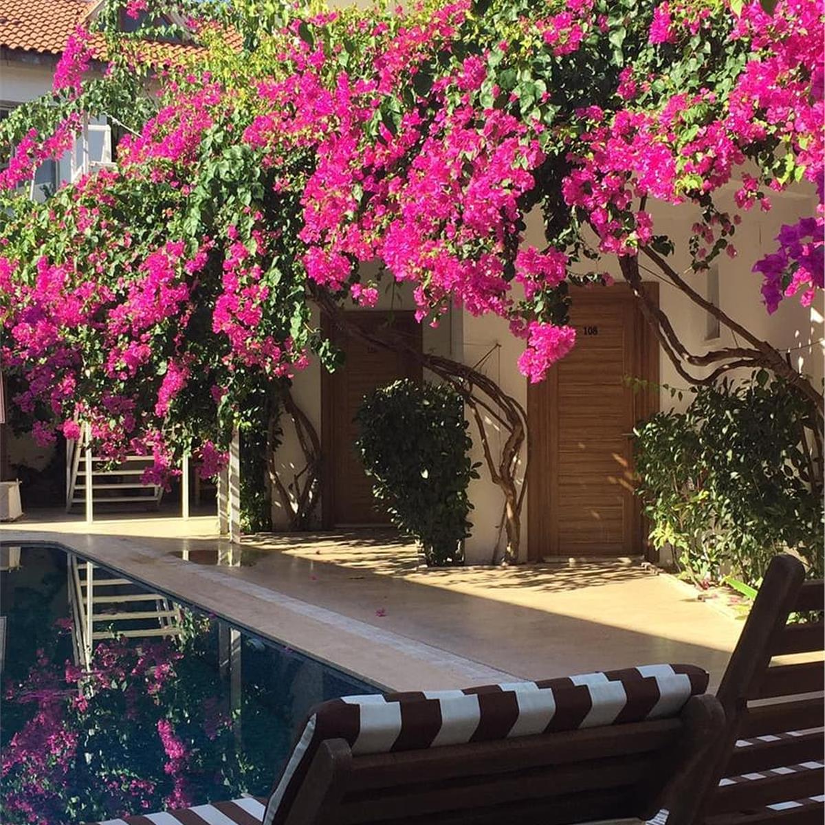 Eon Dalyan Boutique Hotel kahvaltı dahil çift kişi konaklama