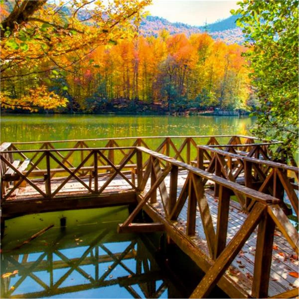 İzmir Çıkışlı 2 gece 3 gün Konaklamalı Şile, Ağva, Ormanya, Maşukiye, Abant, Sapanca Gölü, Yedigöller, Amasra ve Safranbolu ile Batı Karadeniz Turu