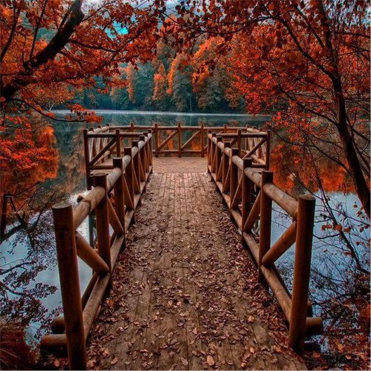 İzmir Çıkışlı 1 gece 2 gün 5 Yıldızlı Raddison Blu Konaklamalı Şile, Ağva, Maşukiye, Ormanyİzmir Çıkışlı 1 gece 2 gün 5 Yıldızlı Raddison Blu Konaklamalı Şile, Ağva, Maşukiye, Ormanya, Abant, Gölyazı Turua, Abant, Gölyazı Turu