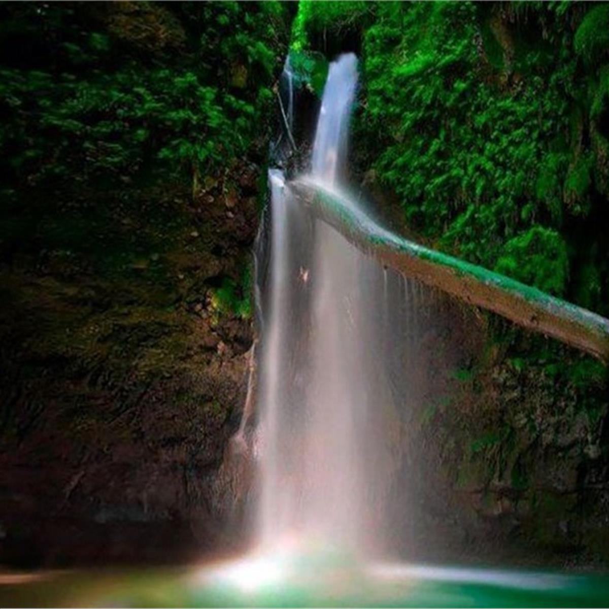 İzmir Çıkışlı Günübirlik Öğle Yemeği Dahil Muğla Saklıkent Kanyonu, Gizlikent Şelalesi, Yakapark Turu