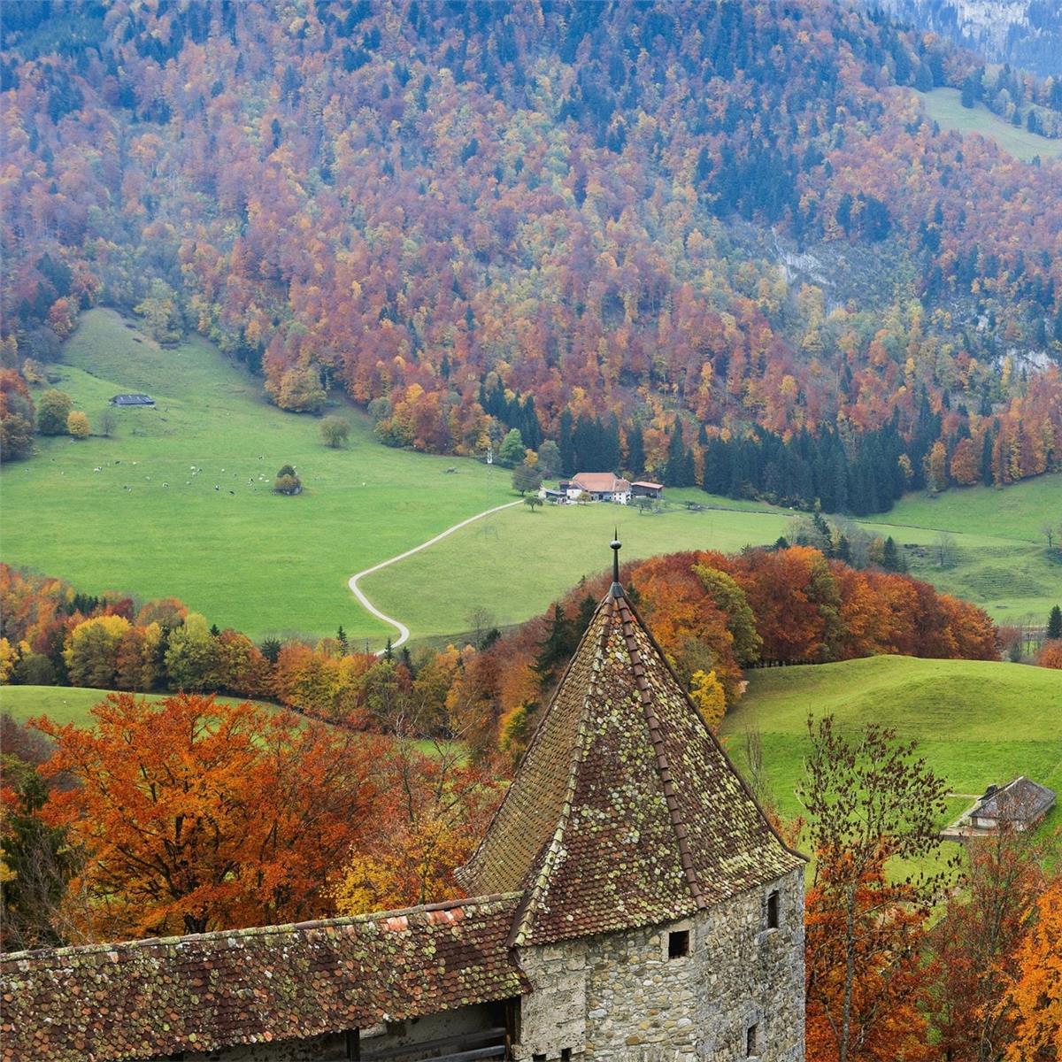 İzmir’den Uçaklı 3 Gece 4 Gün Konaklamalı Alsace & Colmar & Tren ile Alp Dağları Turu