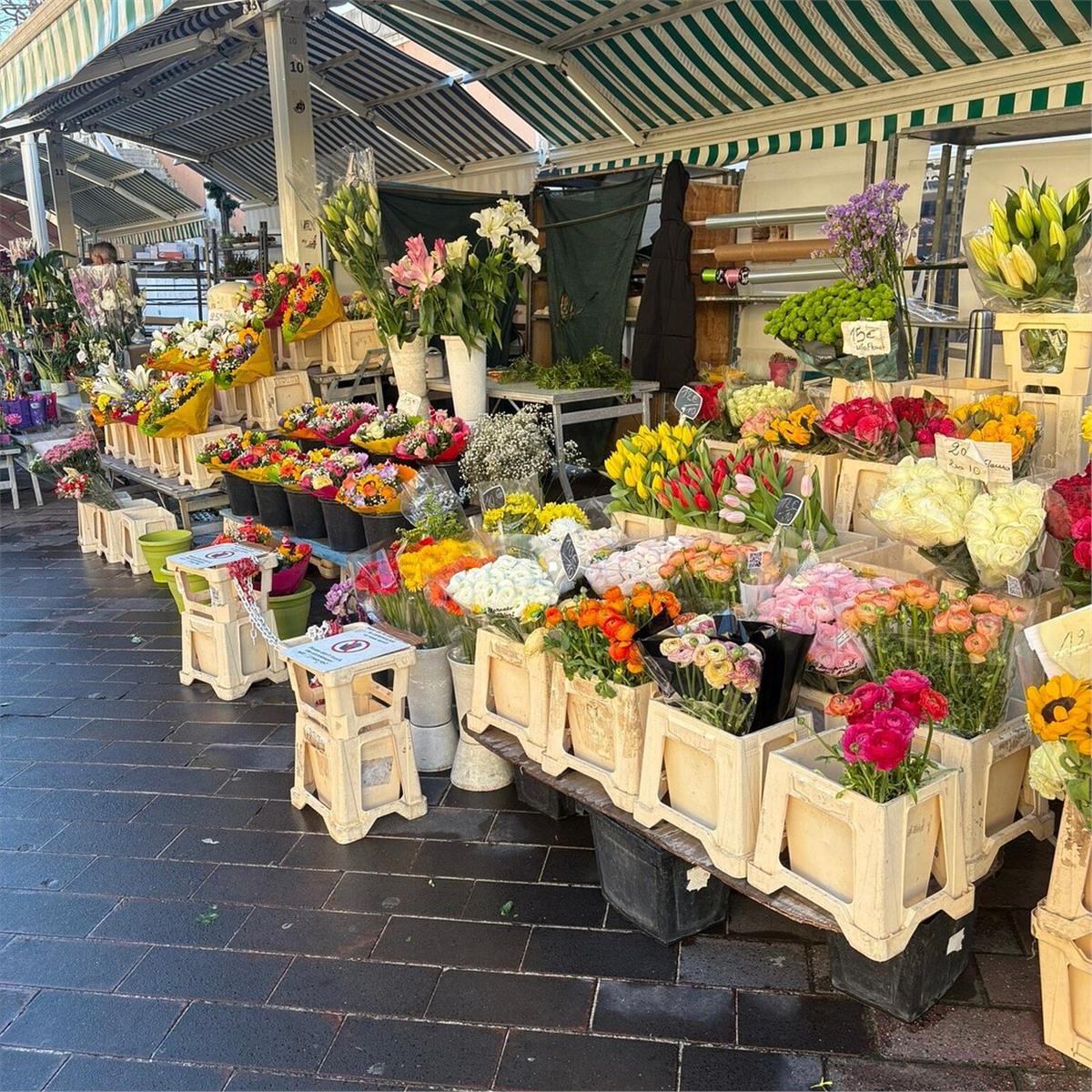 İzmir'den Uçaklı 5 Gece 6 Gün Konaklamalı Avrupa Masalı Express Turu