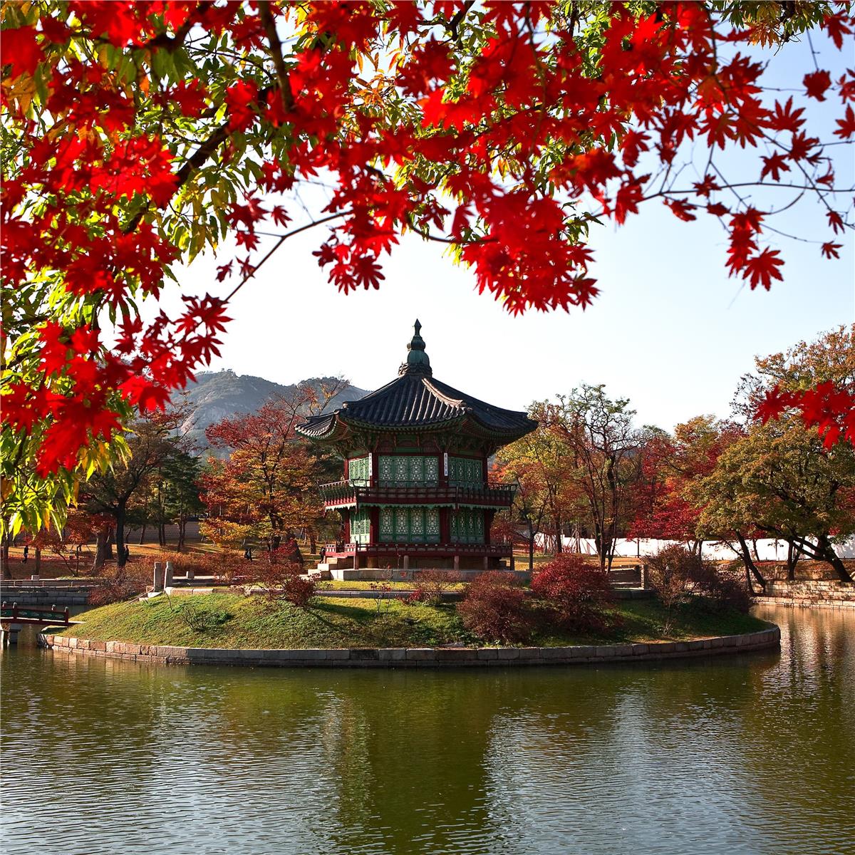 İzmir'den Uçak İle Kalkışlı 9 Gece 10 Gün Konaklamalı Japonya - Güney Kore Turu