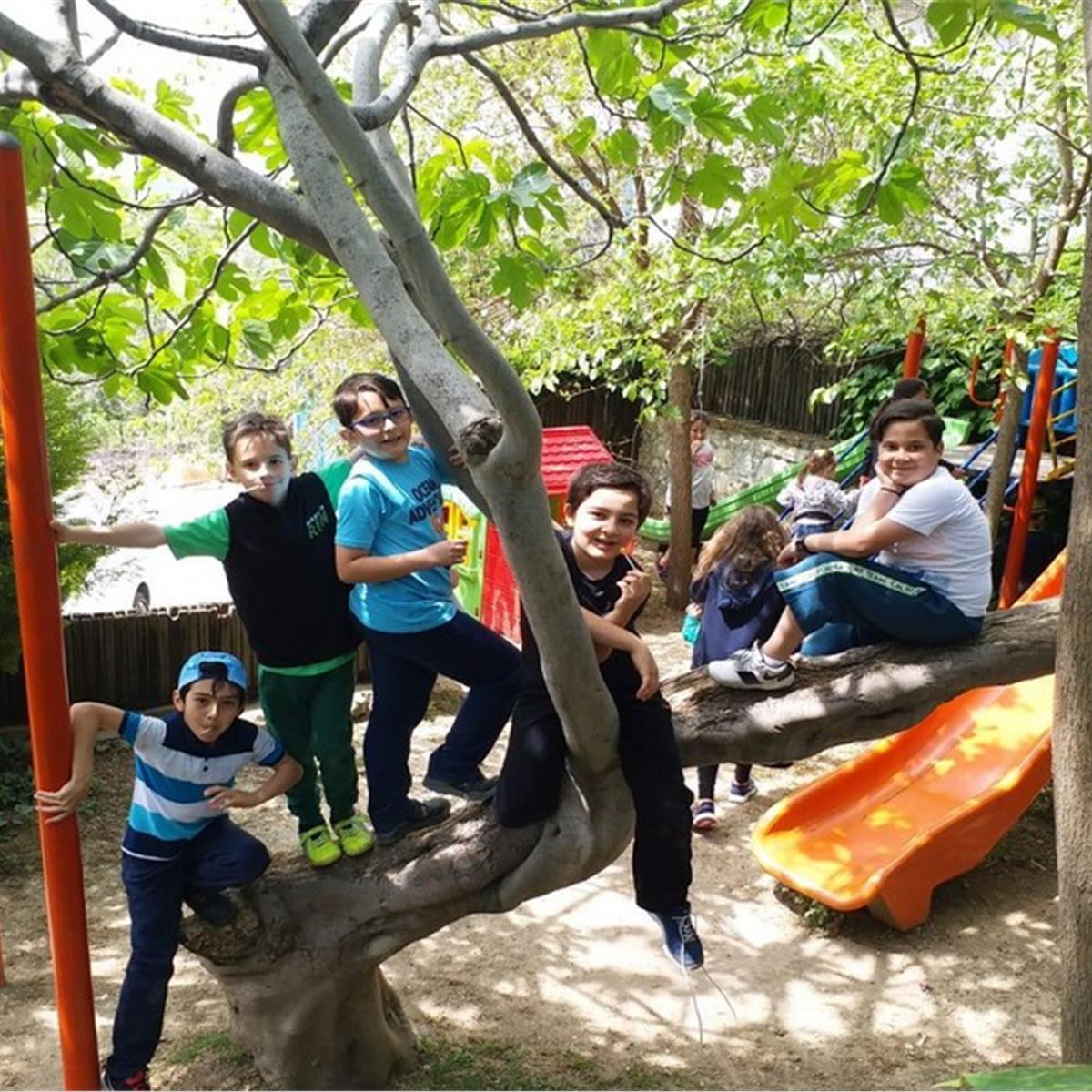 Çiçekliköy Zeytindalı Kahvaltı Evi’nde Enfes Serpme Köy Kahvaltısı