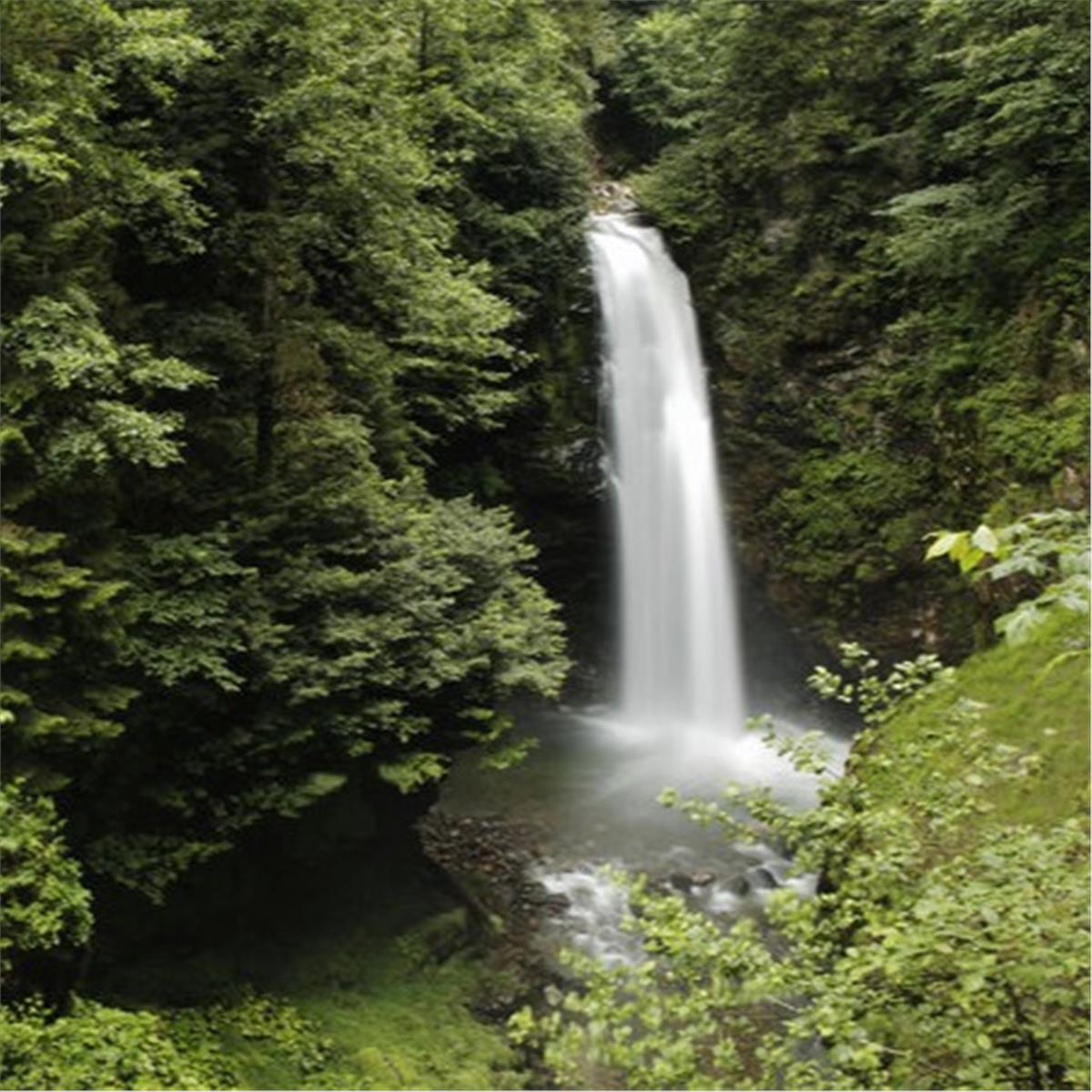 İzmir'den Uçaklı 5 Gece 6 Gün Konaklamalı Baştan Başa Karadeniz Yaylalar ve Batum Turu