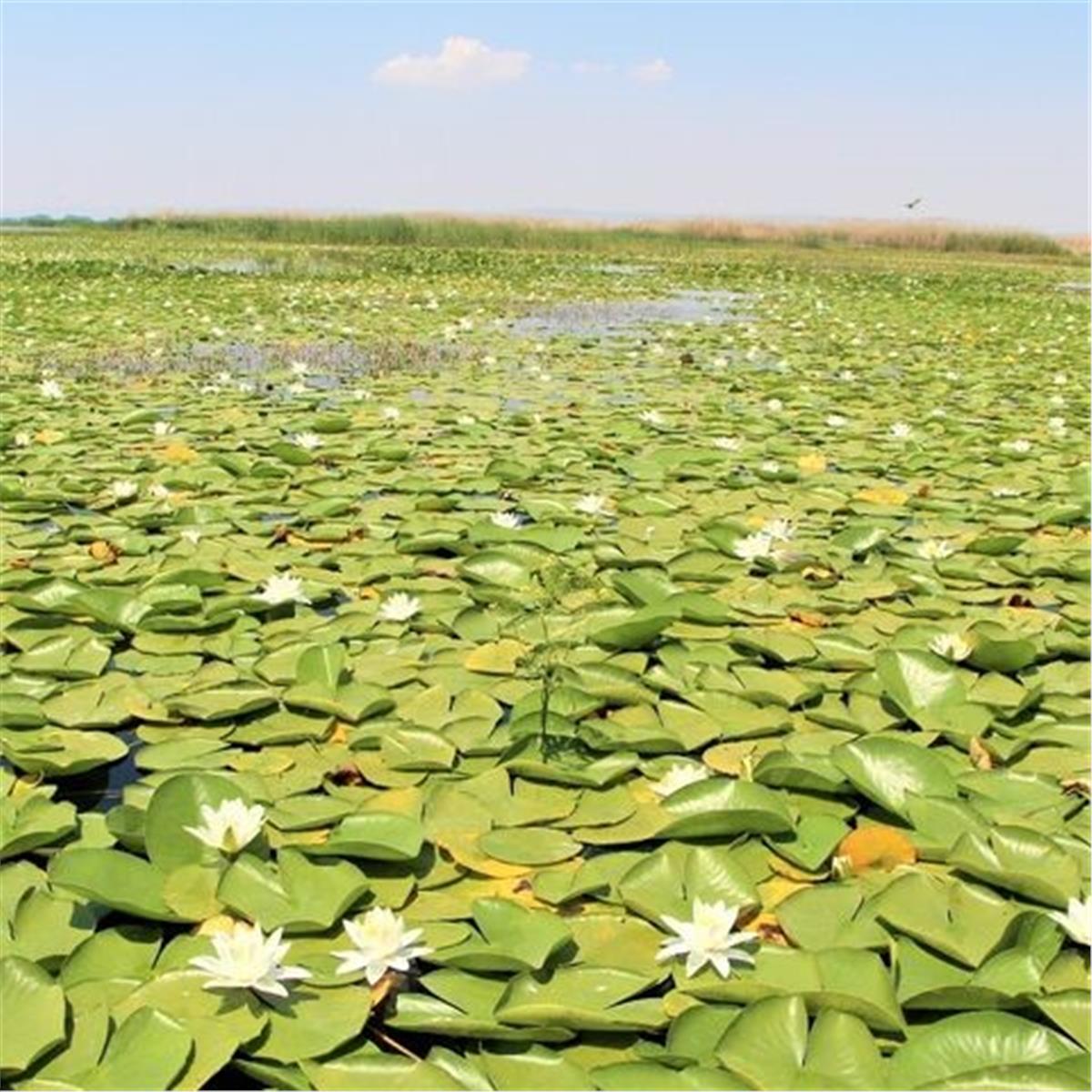 Günübirlik Işıklı Göl, Isparta, Gül Hasadı Turu