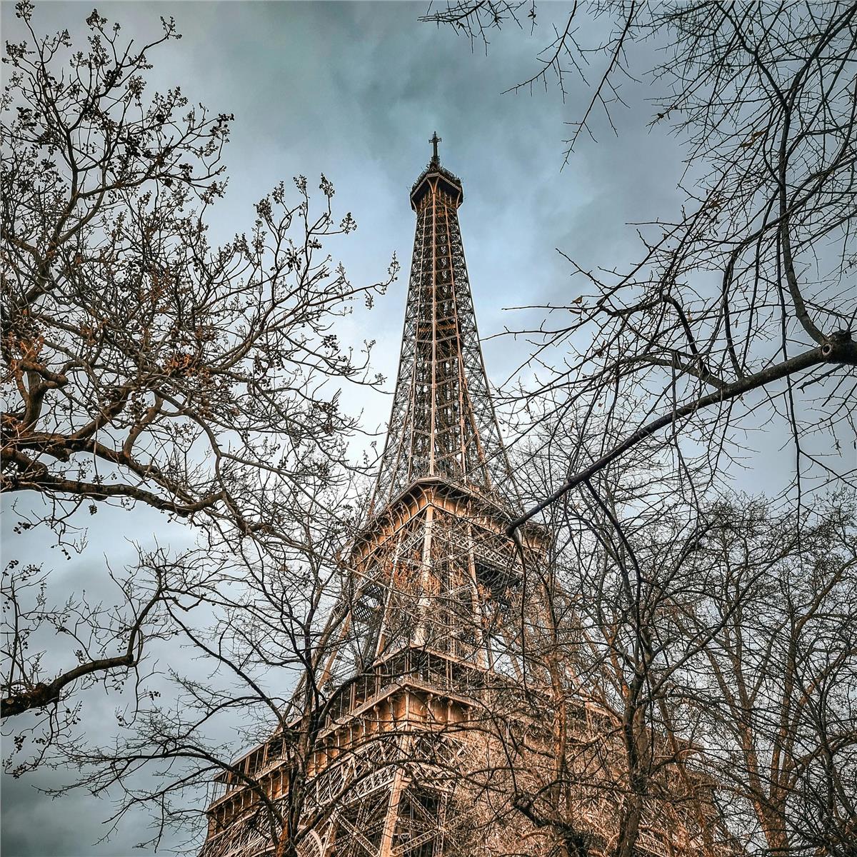 İzmir'den Uçaklı 3 Gece 4 Gün Konaklamalı Noel Pazarları Eşliğinde Paris Ve Reims Turu