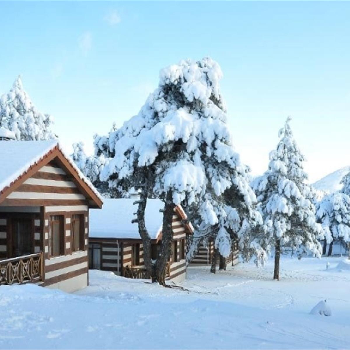 9 Şubat Pazar Nazarköy Kemalpaşa Kımız At Çiftliği, Spil Turu