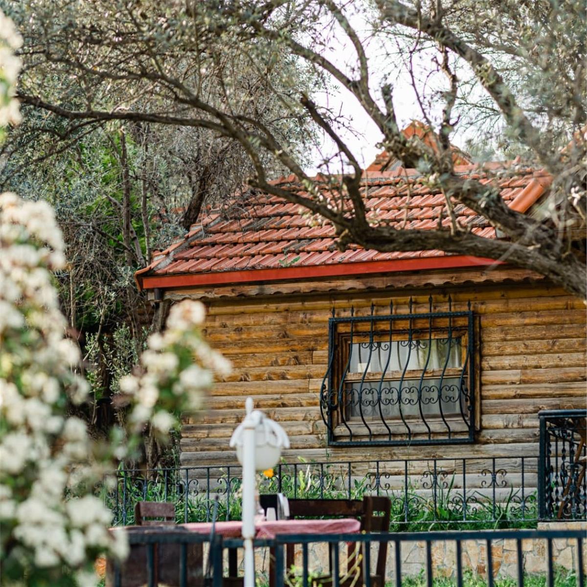 Çiçekliköy My Garden Butik Otel Bungalow Evde Çift Kişi Kahvaltı Dahil Konaklama