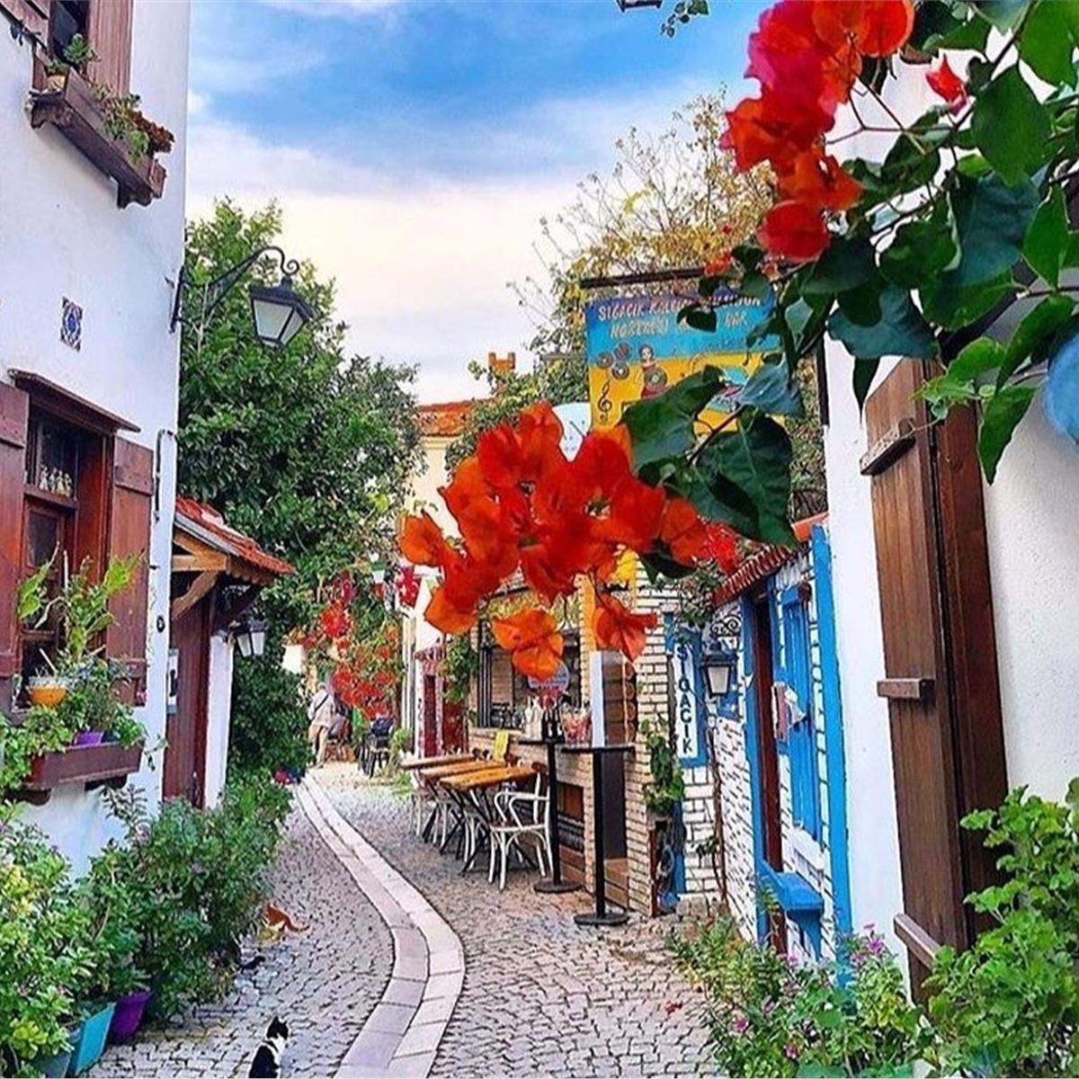 İzmir Çıkışlı Günübirlik Seferihisar Mandalina Festivali Turu.