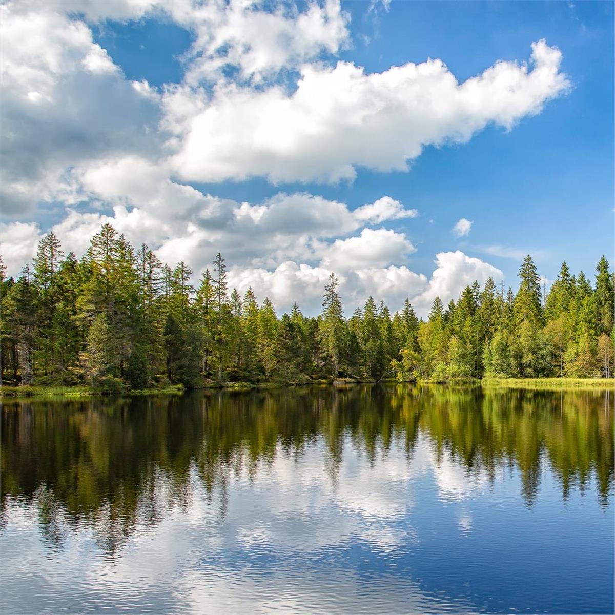 İzmir’den Uçaklı 3 Gece 4 Gün Konaklamalı Alsace & Colmar & Tren ile Alp Dağları Turu