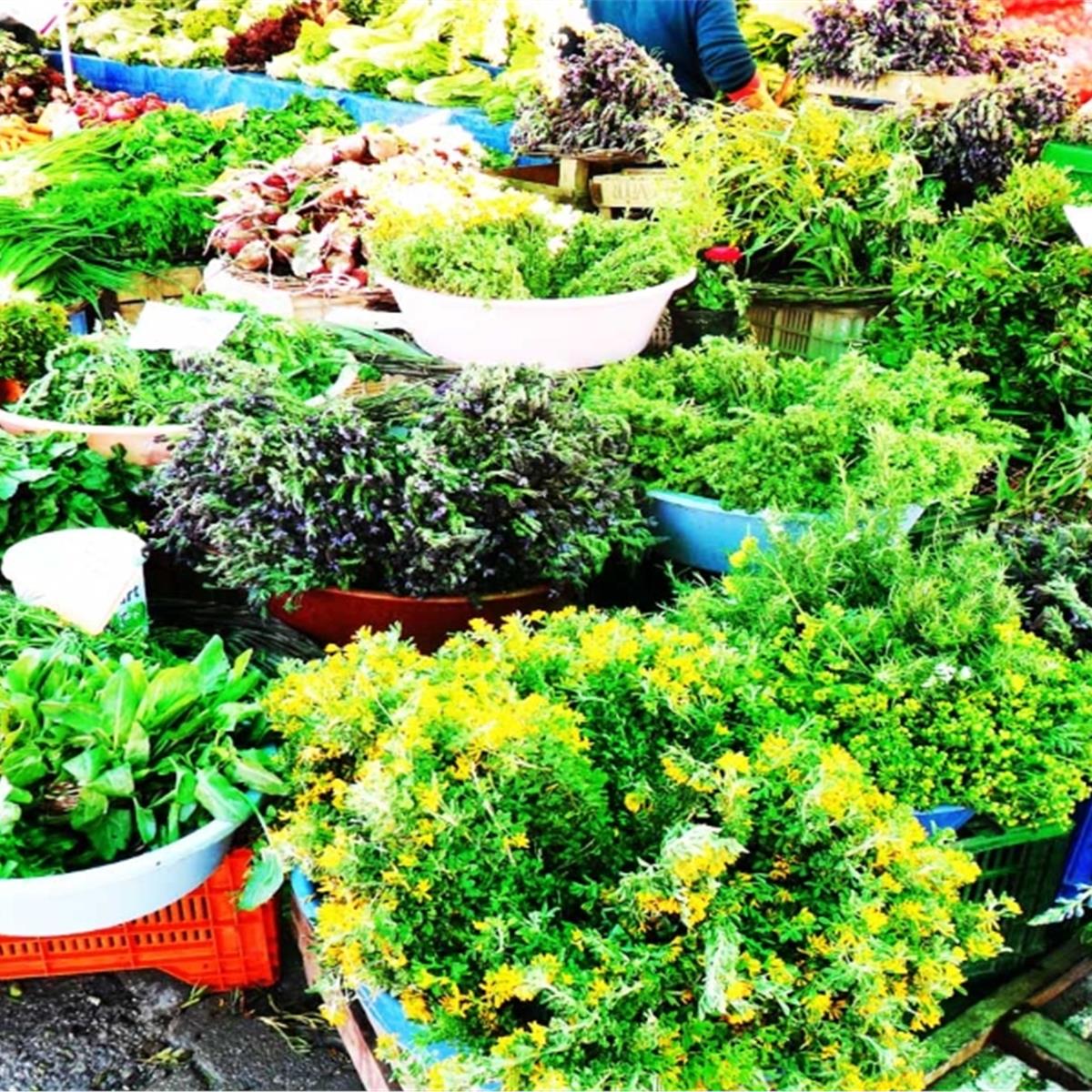 6 Nisan Cumartesi Günübirlik Alaçatı Ot Festivali, Balıklı Köşk, Germiyan, Ildırı Köyü Turu