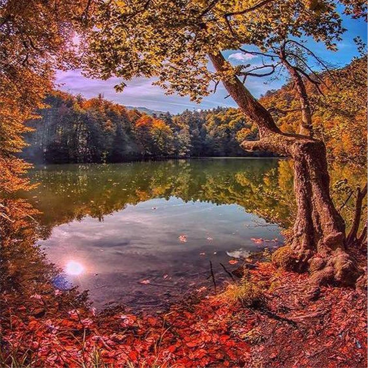 2 Gece 3 Gün Konaklamalı Bolu Abant, Amasra, Göynük, Safranbolu, Yedigöller Turu