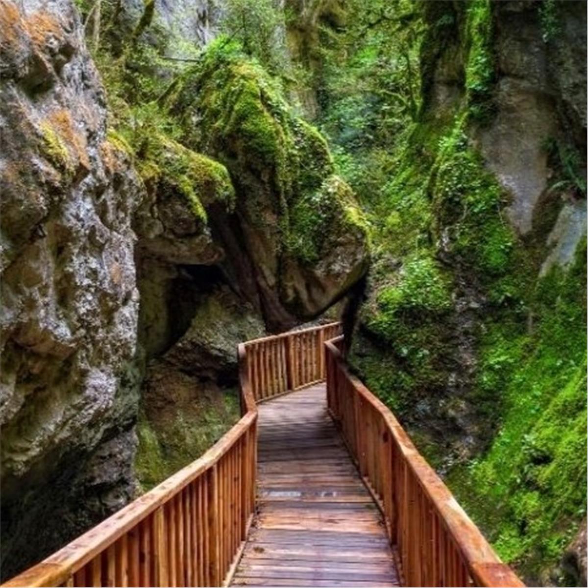 İzmir'den Kalkışlı 2 Gece 3 Gün Yarım Pansiyon Hotel Konaklamalı Batı Karadeniz Turu