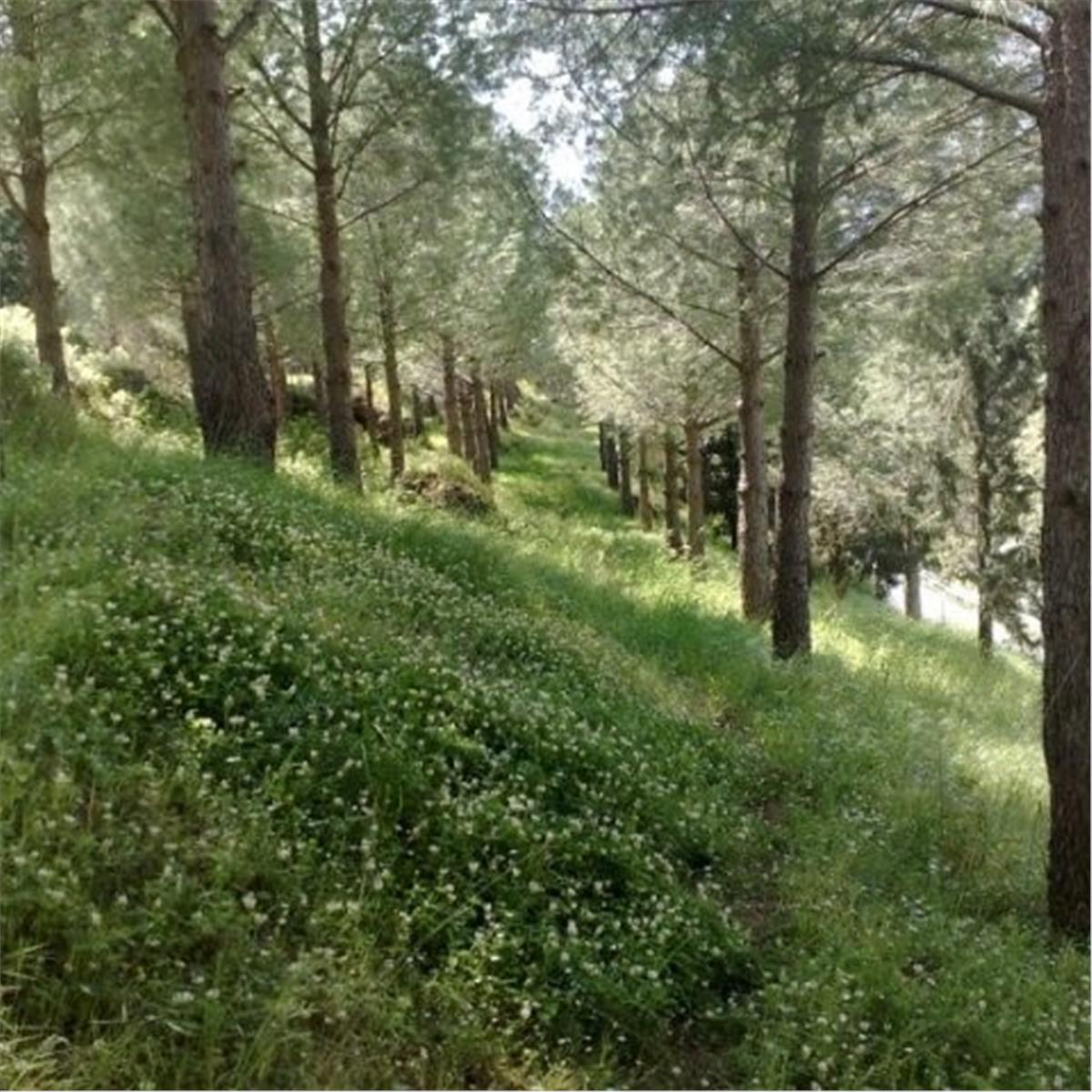 İzmir Çıkışlı Günübirlik Çiçekli Köy Kımız At Çiftliği Turu