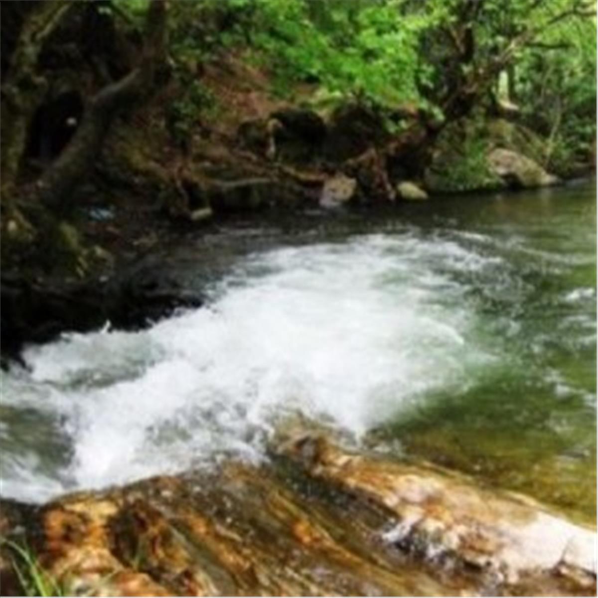 İzmir Çıkışlı Günübirlik Çiçekli Köy Kımız At Çiftliği Turu