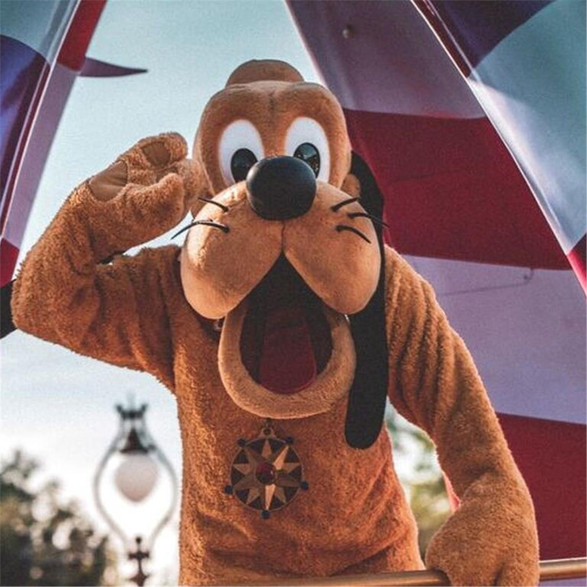 İzmir'den Uçak İle Hareketli 7 Gece 8 Gün Konaklamalı Tüm Ekstralar Dahil Benelüx & Alsace & Paris Turu