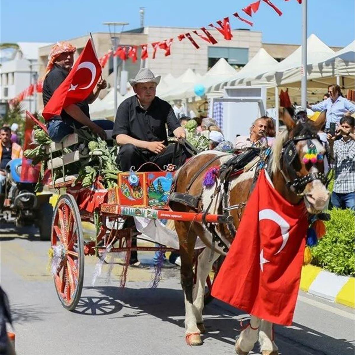 İzmir Çıkışlı Günübirlik 3-4-5 Mayıs 2024 Urla Enginar Festivali Turu