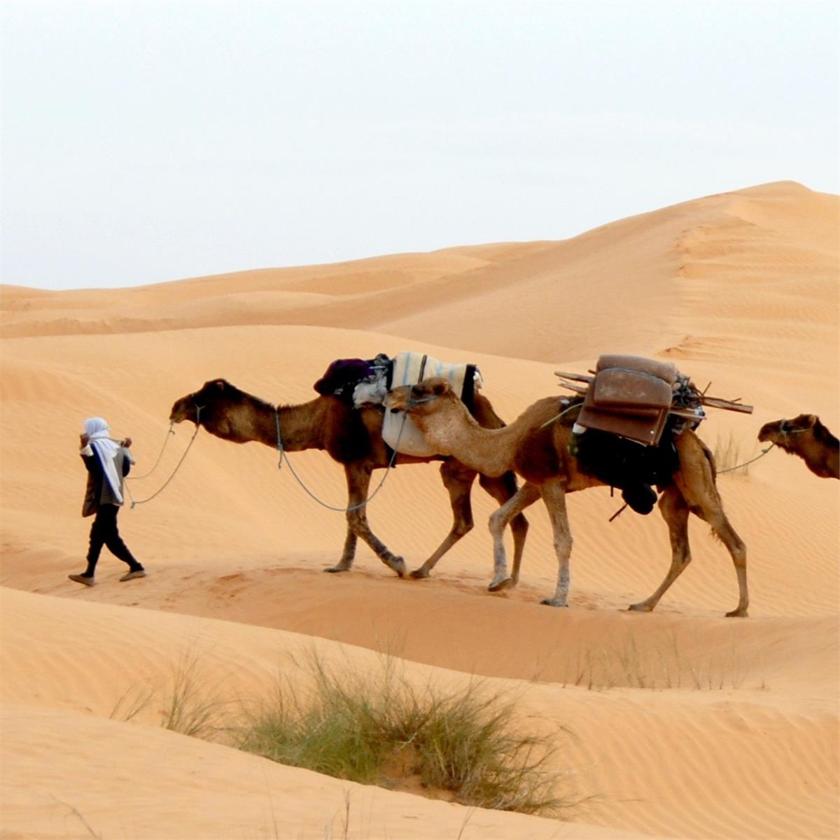 İstanbul'dan Uçak İle Hareketli 7 Gece 8 Gün Konaklamalı Elegant Sahra Çölü Ve Fas Turu
