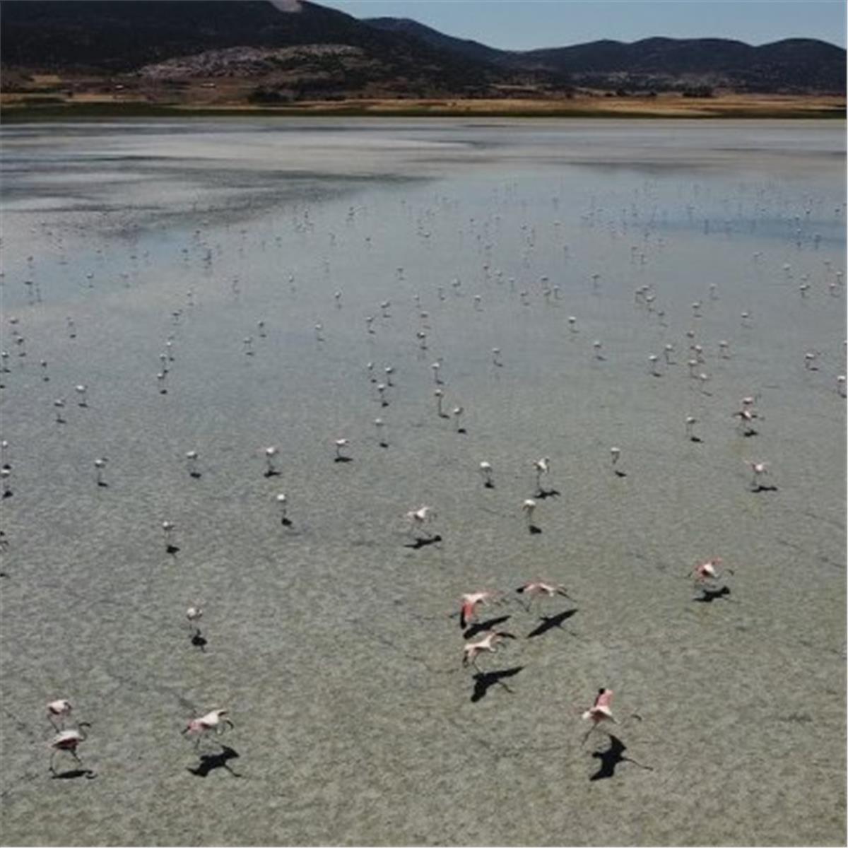 İzmir'den Kalkışlı Yılbaşı Özel 2 Gece 3 Gün 5* Hilton Garden Inn Isparta Konaklamalı Isparta Davraz Kayak Merkezi Turu