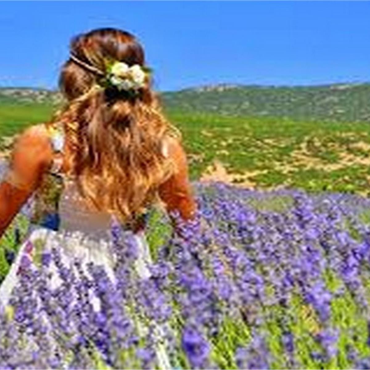 Günübirlik Lavanta Tarlaları ve Salda Gölü Turu