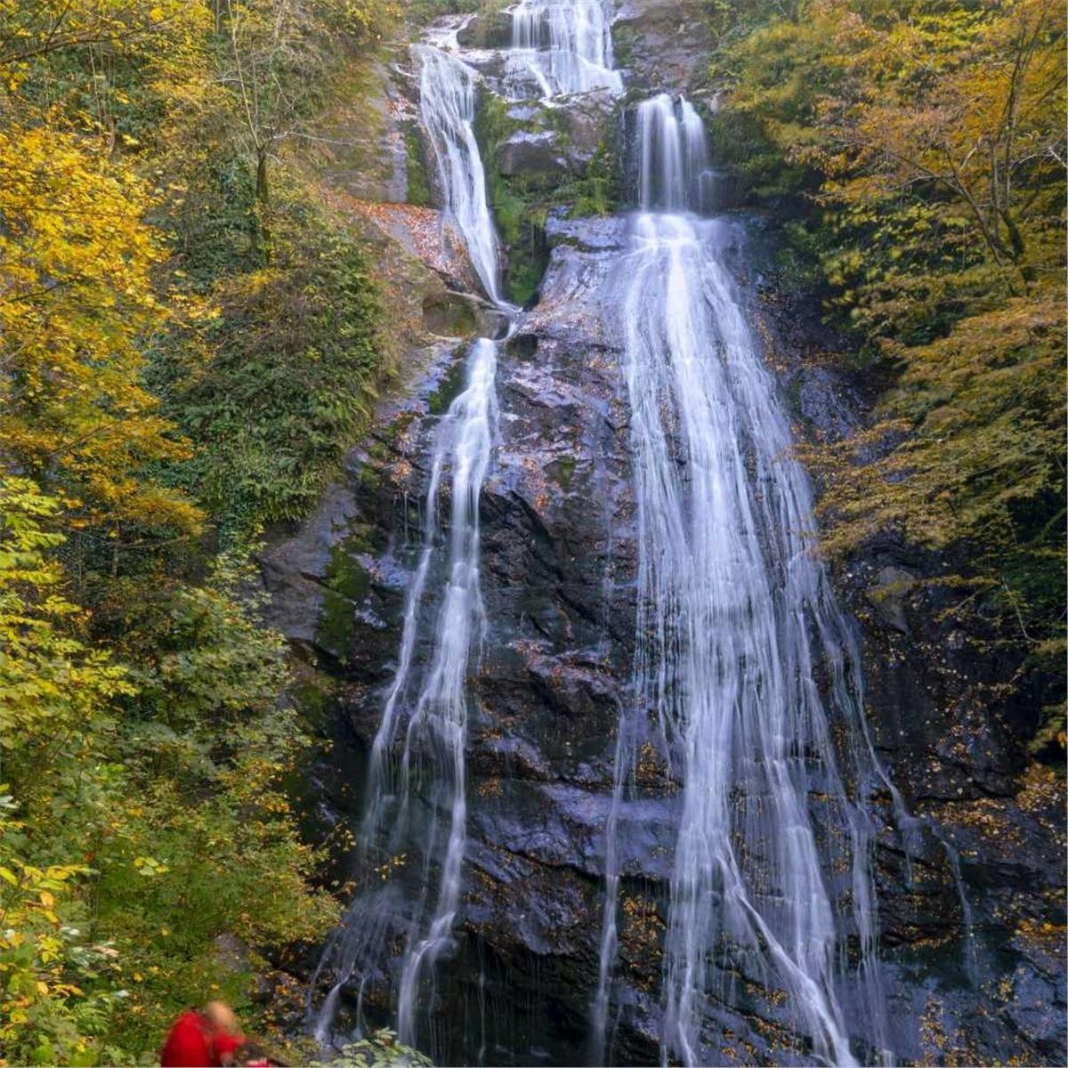 İzmir'den Otobüslü 1 Gece 2 Gün Konaklamalı Düzce Şelaleleri & Efteni Gölü & Akçakoca & Maşukiye Turu